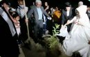 عروس و داماد جیرفتی نهال مهر و محبت کاشتند