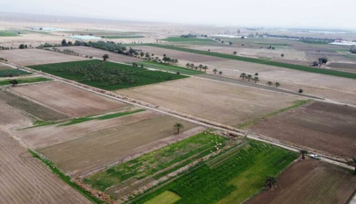 مبلغ اجاره زمین‌های شرکت در مزایده تعیین می‌شود