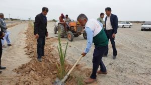 کاشت ۱۰۰۰ اصله درخت توسط خادمیاران ریگانی