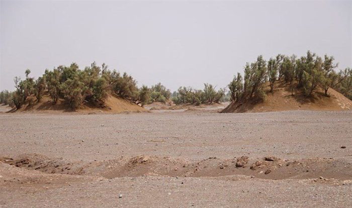 ۳۹۰ هزار هکتار کانون بحرانی فرسایش بادی در جنوب استان کرمان