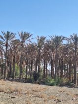 دویست خانوار روستای قاسم آباد جیرفت منتظر همت مسئولان