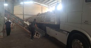 تامین و تدارک میزان ۳۲۷۷ تن انواع کود کشاورزی برای شهرستانهای جیرفت و عنبرآباد