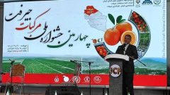 تبدیل دشت جیرفت به منطقه ویژه کشاورزی، انقلاب بزرگ در صادرات جنوب کرمان است/ صادرات ۱۷۶ هزار تن مرکبات در ۱۰ ماه گذشته