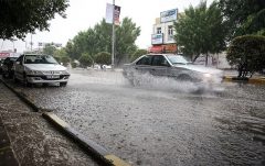 شروع بارش دوبارۀ باران از سه‌شنبه / بیشترین میزان بارندگی در رفسنجان ثبت شد